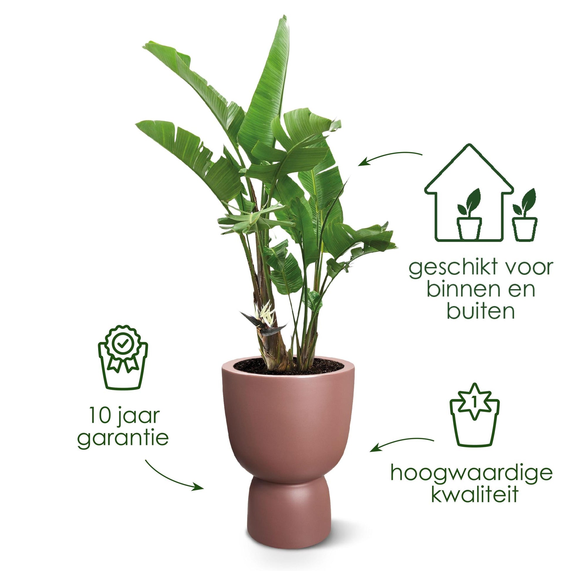 Elho pure coupe zwart planter plantpot informatie