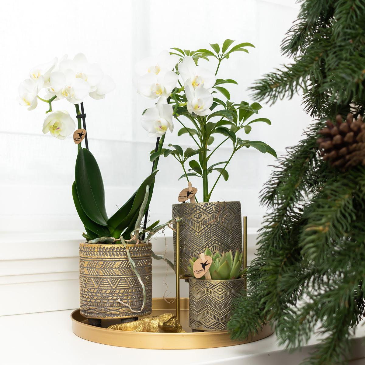 Hummingbird Home | Plant stand - Gold metal plant stand Ø12cm