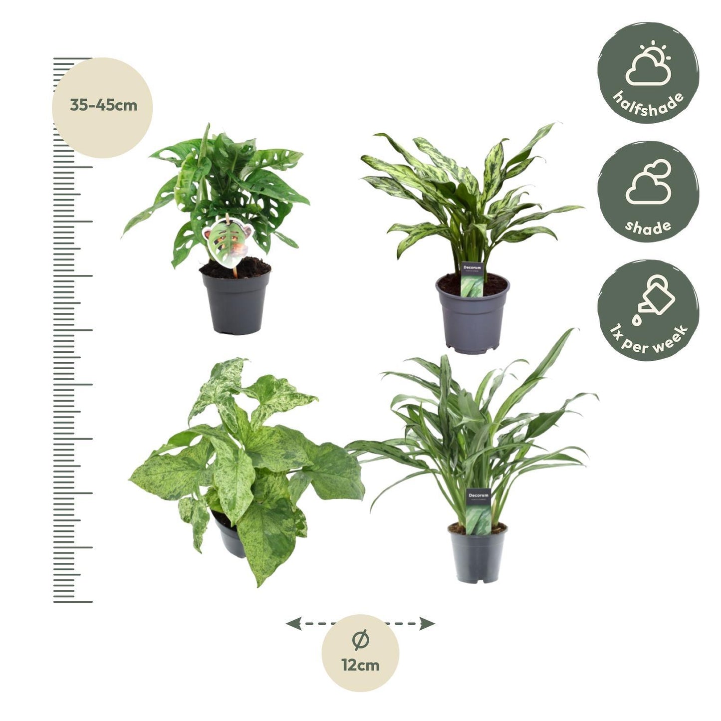 Green Combi (4 pieces) | PlantMix Box