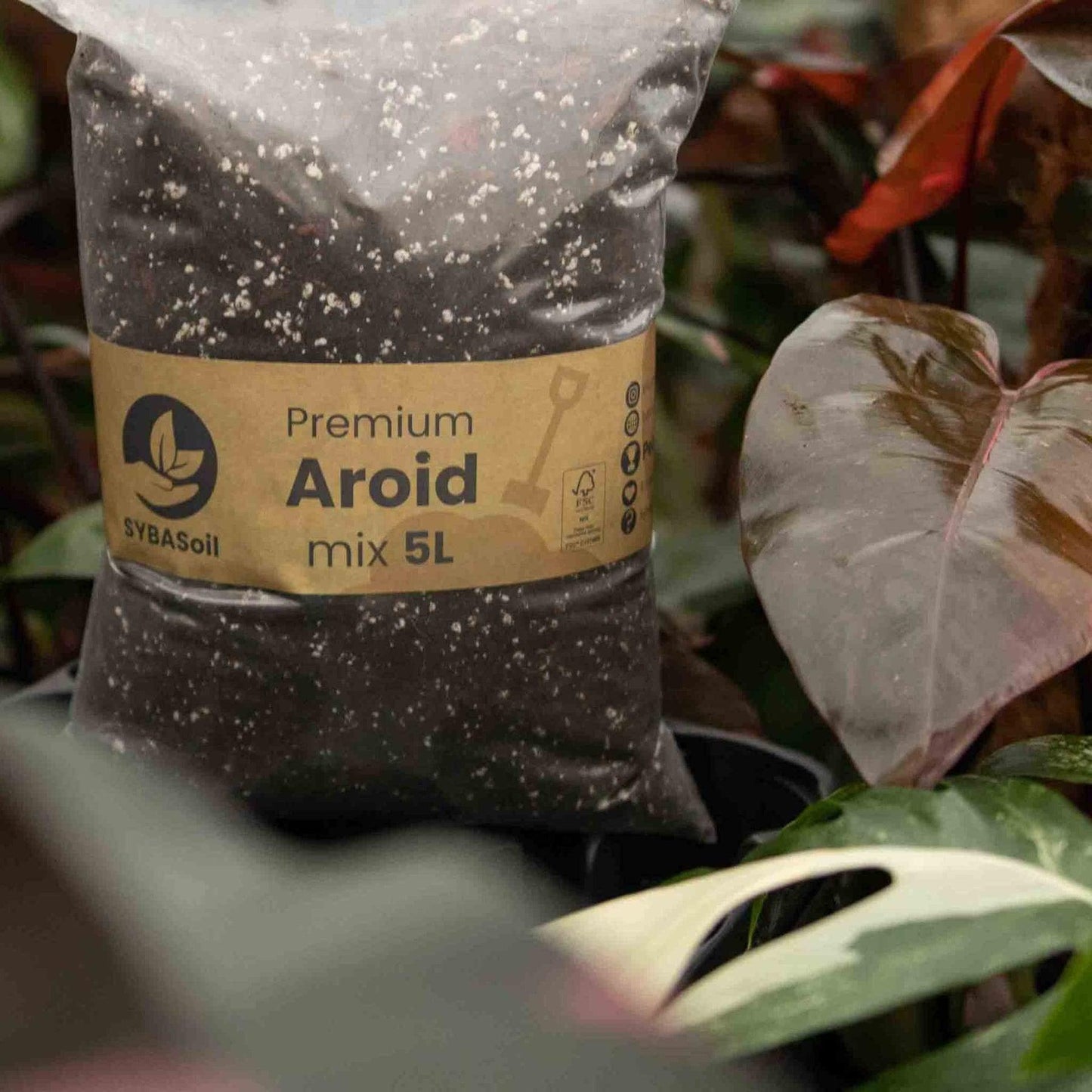 SYBASoil Premium Aroid Mix 5l bag within plants