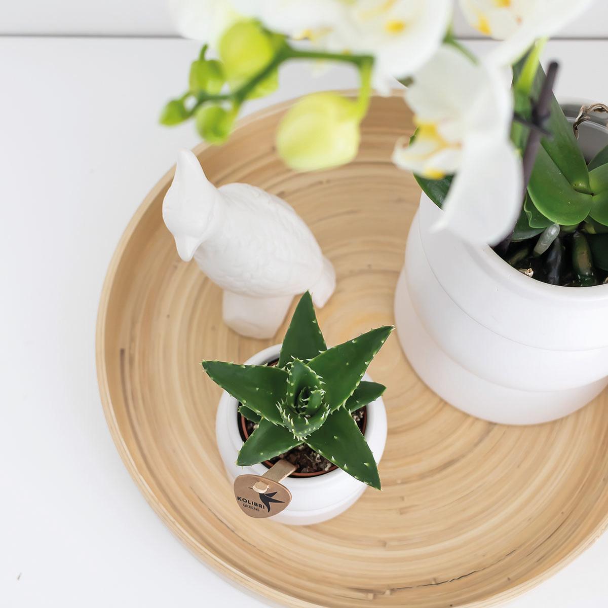 Hummingbird Home | Decorative bowl - Round smooth bamboo tray Ø30cm