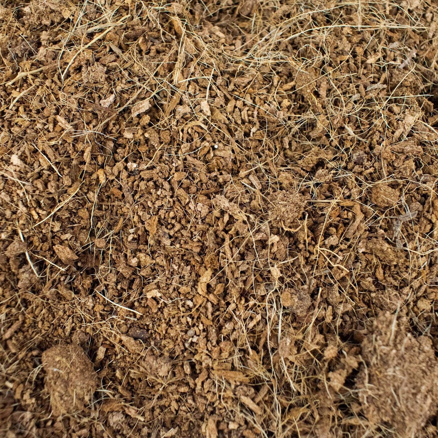 SYBASoil coco coir 3l on ground