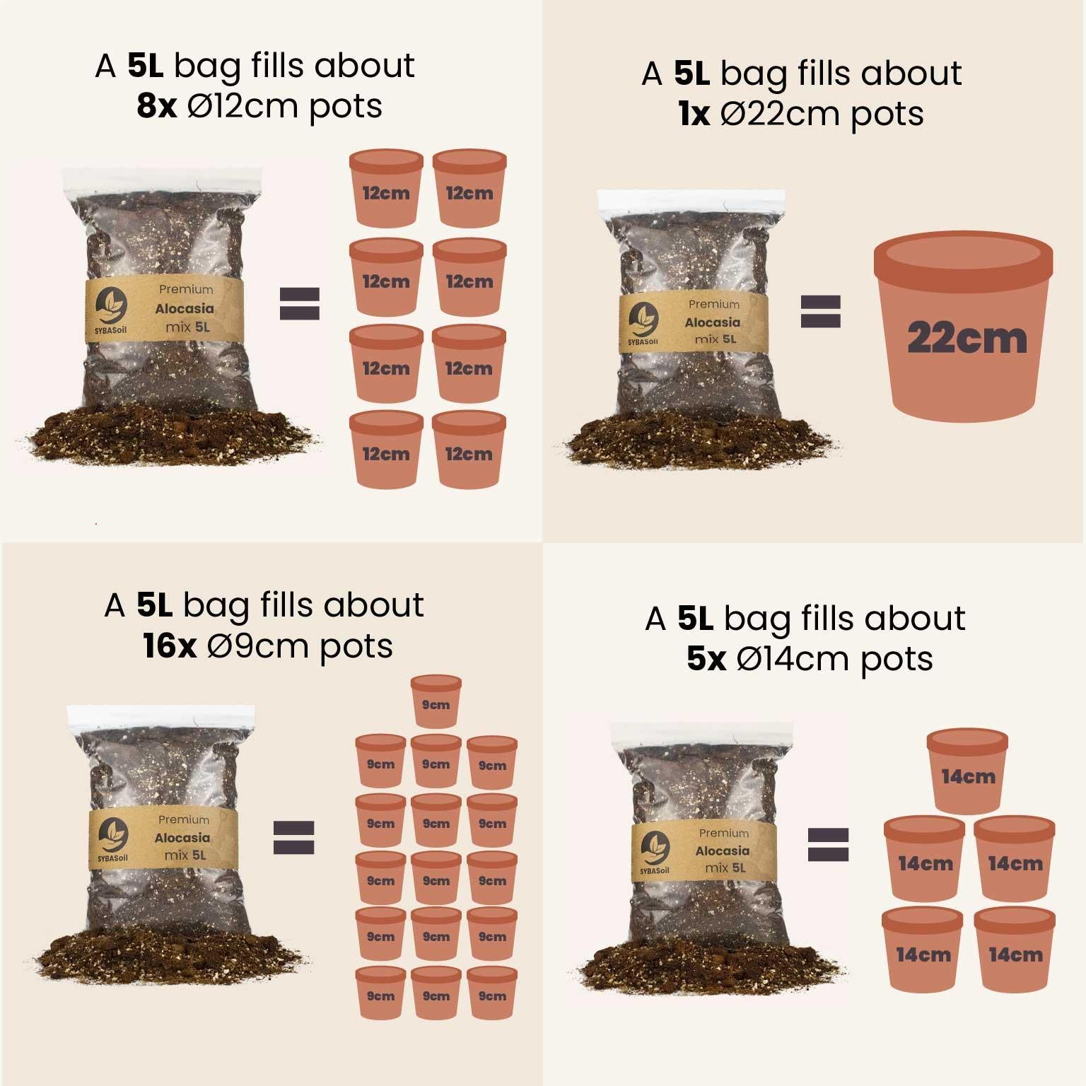 SYBASoil Premium Ficus mix measurements in pots